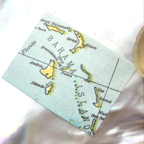 Two's Company Ornamented Cabebe Shell Footed Dish With Brass Trim - Picture 6 of 6